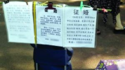 四川仪陇征婚启事,寻觅真挚伴侣,共筑美好未来